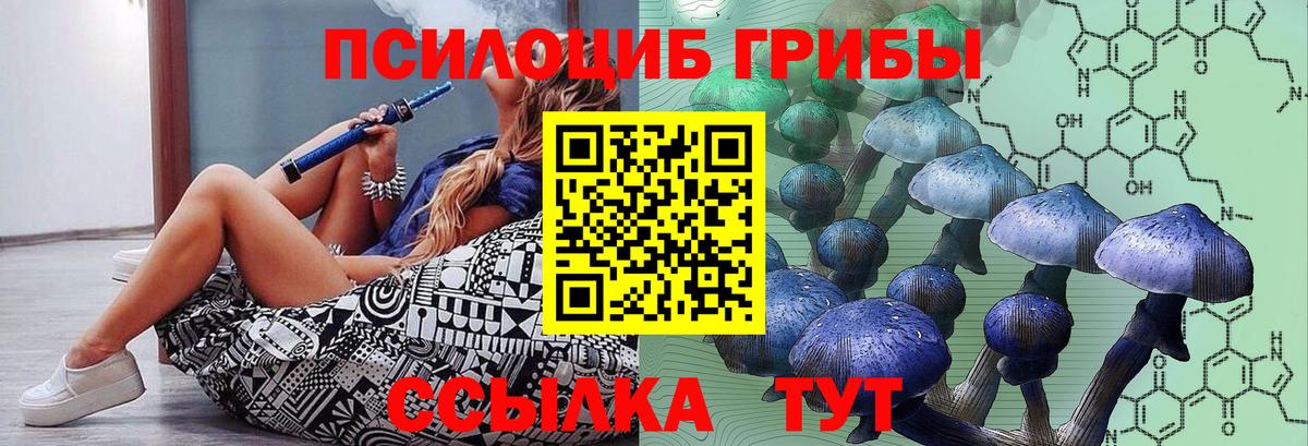 Галлюциногенные грибы Cubensis Нижневартовск