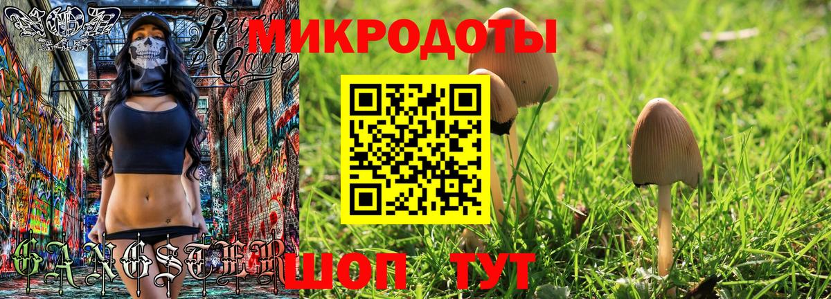 Нижневартовск  Псилоцибиновые грибы Psilocybe  Вход с VPN 